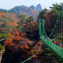 청량산관리사무소 이미지