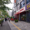 세운동물병원 티스토리