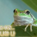 금복농장 이미지