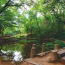 계곡이 있는 풍경 이미지