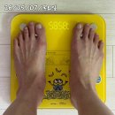 46 | 마운자로 가격 효과 다이어트약 -13kg 감량 성공 후기 46일차