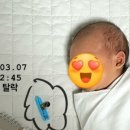 (주)미즈라이프