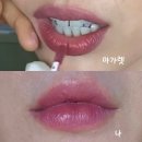 지니 소프트 | 마가렛퀄리 손민수템 | 샤넬 르 루즈 듀오 립 48 소프트로즈 후기