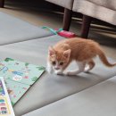 학익동물병원 이미지