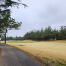 (주)베스트밸리골프클럽 | [2026 봄 추천] 베스트밸리CC — 파주에서 즐기는 노캐디 가성비 최고 골프장 🌸