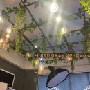 레드셔터 이미지