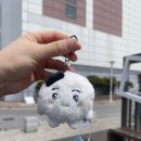 강릉하나약국 이미지