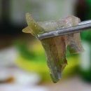 할매소머리곰탕 이미지