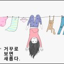 코어브랜더