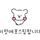 운동화전문세탁소 이미지
