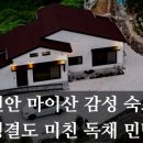 마이산뜰안에 이미지