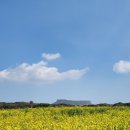 GS25 고성점 이미지