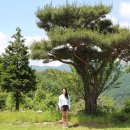 고운원 - 하동군 고운동길 23-8 | [자운선가 후기] 마음깨우기 명상을 통해 결혼까지 골인합니다!