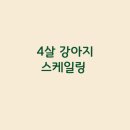 성경완 동물병원 이미지