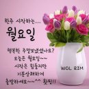 홍천댁