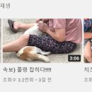 시고르박 네이버블로그