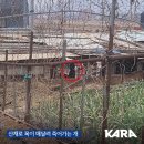재판농장 이미지