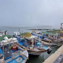 솔향기길1코스(당봉) 이미지