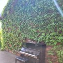 책마을해리 이미지