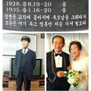 신나는 아코디언 이미지