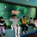 가리점하우스 이미지