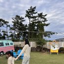 도르멍멍이 이미지