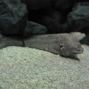 행정사권혁철사무소 이미지