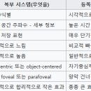 [하트세라피 광주미술심리상담센터] 인지기능과 관련된 대뇌피질의 구조 및 기능 이미지