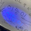 청춘마카롱 | 살자니 지랄같고 죽자니 청춘이구나