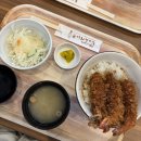 희망카페 2호점 | 26년 1월 삿포로 3박4일(2) | 마이리얼트립 라쿠투어 비에이 버스투어 후기, 징기스칸 다이이치 2호점 후기