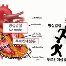 박동굴 이미지