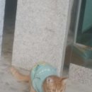 GS마트사거리 이미지