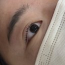 오늘도예쁘다눈썹속눈썹 효자동본점 | [효자동]오늘도예쁘다 눈썹&속눈썹 효자동 본점 뿌리 교정 속눈썹펌 후기
