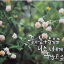 꽃바람에 하루가 짧다 이미지