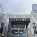 청소년수련관 앞 가로수 | 연천 청소년수련관 수영장 정보 | 자유수영 후기