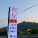 할로인풍 티스토리