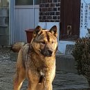 청용 이미지