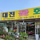 대진꽃화원