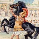 부케팔로스 이미지