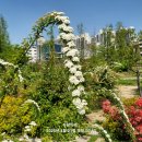 태화강국가정원 이미지