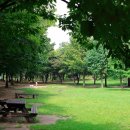 연결녹지4호1 이미지