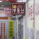 연합부동산공인중개사사무소 네이버블로그