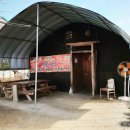 미운오리 이미지