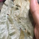 수광농장 이미지