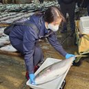 국립수산물품질관리원 인천지원 이미지