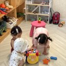 육아후기&gt;광주근교 유명하다는 키즈펜션 오떼떼 블루A