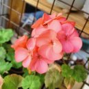 마실다육 이미지