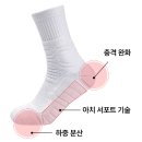 메디보니 이미지