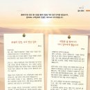 시냇가에 심은 나무