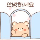 W성형외과의원 네이버블로그